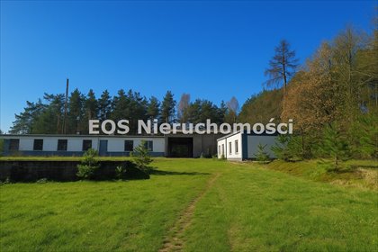 lokal użytkowy na sprzedaż 1264m2 lokal użytkowy Pasieka