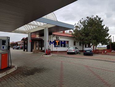 Lokal użytkowy na sprzedaż Kikorze 1 290m2 Foto 4