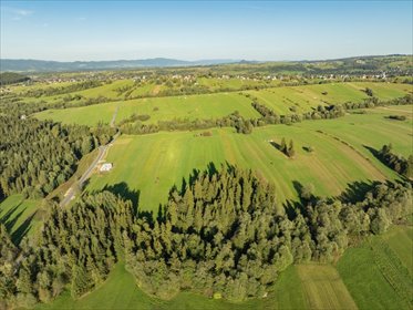 Polecam dużą działkę rolną 29 000 m² w Bańskiej Niżnej działka Bańska Niżna, Osiedle Hodówka