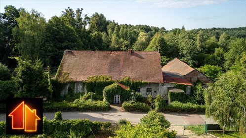 działka na sprzedaż 46640m2 działka Rybnik, Kamień, Hotelowa