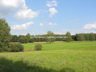 Sprzedam działkę 8,16 ha z jeziorami i lasami na Mazurach działka Otręba