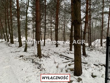 działka na sprzedaż 1500m2 działka Kaliszki