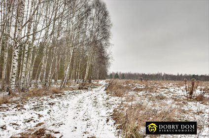 działka na sprzedaż 3700m2 działka Kruszyniany