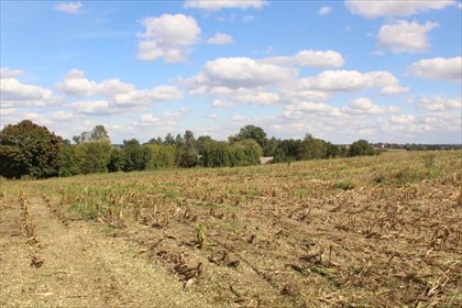 Urokliwa działka 10 arów z panoramą w Cegłówku działka Przybyszów, Cegłówko