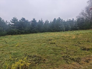 działka na sprzedaż 3034m2 działka Orzechówek