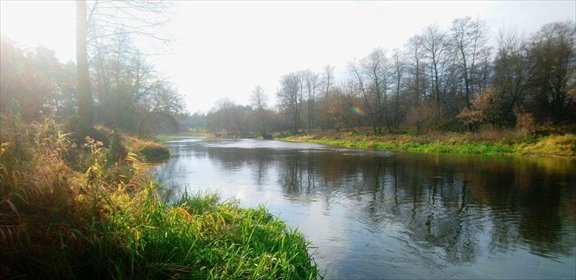 działka na sprzedaż 4828m2 działka Popielżyn-Zawady