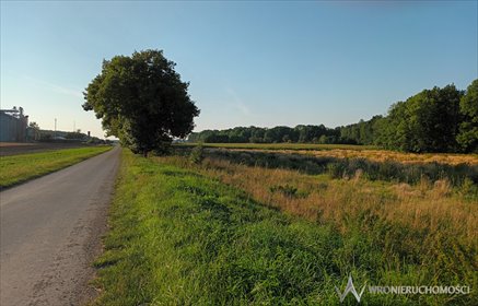 działka na sprzedaż 52815m2 działka Gniechowice