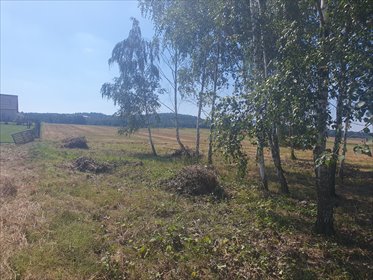 Działka 1400 m² w Jegłowej, spokojna okolica - polecam! działka Jegłowa