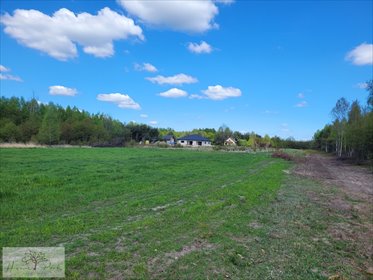 działka na sprzedaż 1000m2 działka Jedlicze A