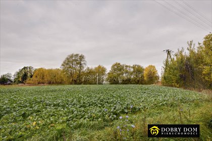 Do sprzedania działka 1020 m² z pozwoleniem na dom w Bielsku działka Bielsk Podlaski