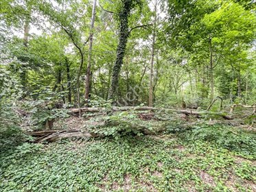działka na sprzedaż 2775m2 działka Milanówek