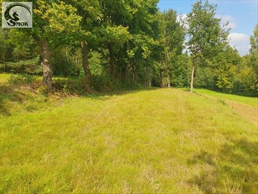 działka na sprzedaż 2600m2 działka Jastrzębia