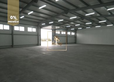 magazyn na wynajem 550m2 magazyn Dawidy