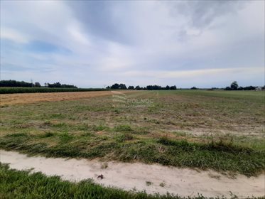 Działka rolna na sprzedaż Żurawieniec 22 500m2 Foto 5