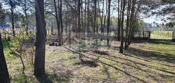 Do sprzedania działka 4462 m² z budynkiem do remontu w Orzeszynie działka Orzeszyn