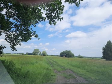 Do sprzedania działka 3000 m² z możliwością budowy w Woli Pasikońskiej działka Kampinos, Wola Pasikońska