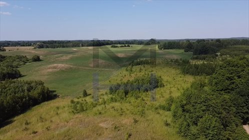 Działka budowlana na sprzedaż Siedliska 2 727m2 Foto 7