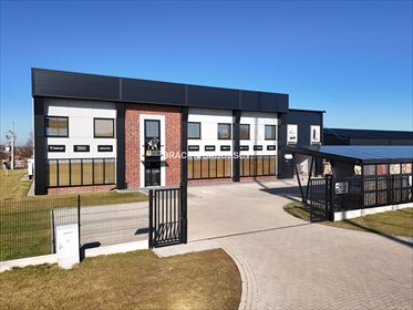 lokal użytkowy na wynajem 253m2 lokal użytkowy Targowisko, Targowisko