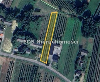 Polecam działkę 1800 m² z jabłoniami, dostęp do drogi działka Byszów