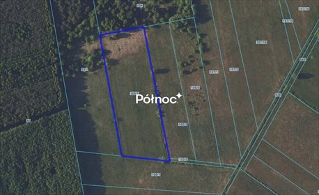 Działka rolna 1ha w Koźlikach (wym. 59x171 m) działka Koźliki