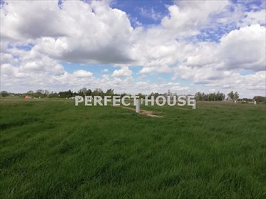Działka budowlana na sprzedaż Wierzeja 901m2 Foto 1