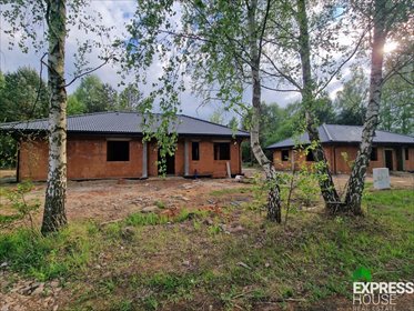 Nowoczesny dom parterowy 118 m² z ogrodem, blisko natury dom Libidza, Fryderyka Chopina