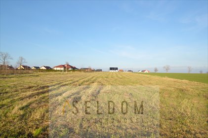 działka na sprzedaż 2200m2 działka Grzybiany