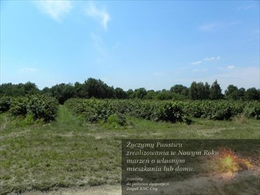 działka na sprzedaż 4988m2 działka Głusk