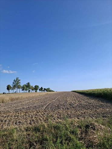 działka na sprzedaż 24070m2 działka Longinówka