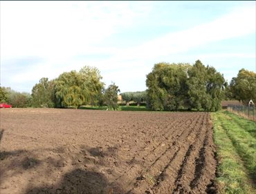 działka na sprzedaż 4627m2 działka Nochowo