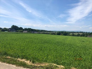 Widokowa działka 40 arów pod zabudowę zagrodową (Frydrychowice) działka Frydrychowice