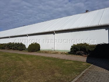 Magazyn na sprzedaż Jawczyce 2 080m2 Foto 4