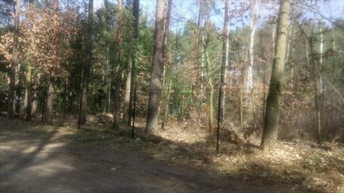 działka na sprzedaż 1665m2 działka Sokolniki-Las