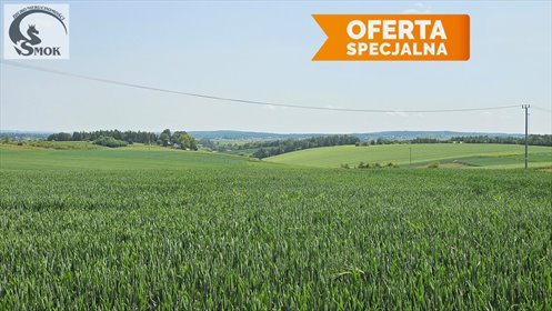 działka na sprzedaż 1300m2 działka Lesieniec