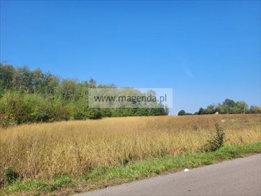 Działka 14 399 m² z potencjałem inwestycyjnym działka Miączyn