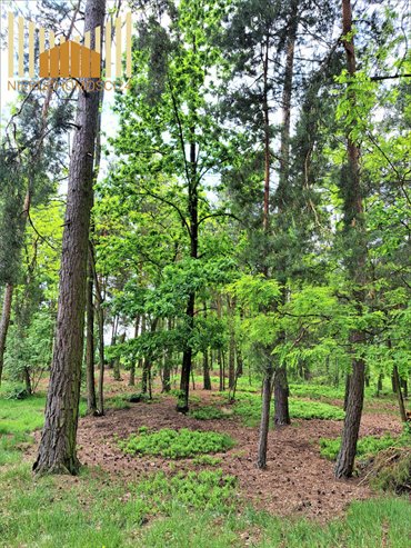 Działka rolna 28 300 m² z lasami i łąkami w Grzebowilku działka Grzebowilk