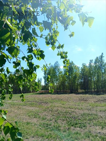 Działki w Korytach 2 227 m² – idealne pod inwestycję działka Koryta