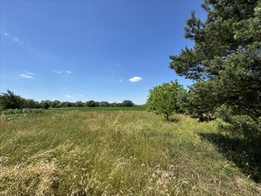 Działka 900 m² w Szówsku, media w cenie - polecam! działka Szówsko
