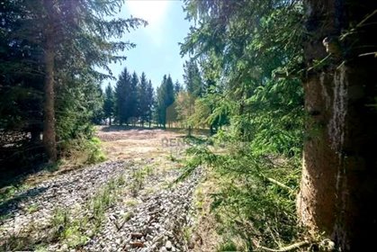 Dwie działki budowlane w Zawoni - 3000 m² z potencjałem działka Zawonia