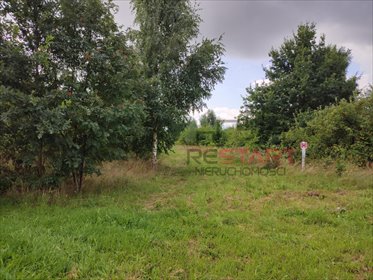 Polecam działkę 5000 m² w spokojnej okolicy z mediami przy drodze działka Stary Łajszczew