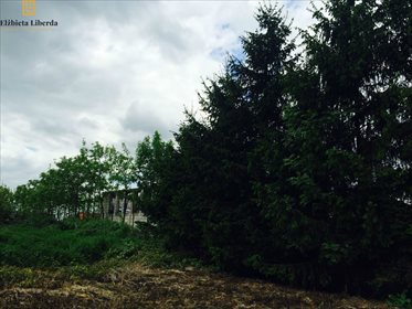 Działka komercyjna na sprzedaż Kazimierzówka 6 000m2 Foto 3