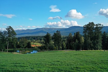 Działka 17 389 m² z widokiem na Karkonosze (Szklarska Poręba) działka Szklarska Poręba, Biała Dolina