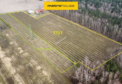 działka na sprzedaż 22000m2 działka Powązki, Dębowa