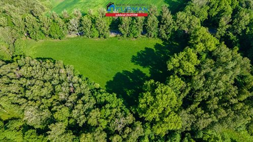 Działka leśna na sprzedaż Głomsk 18 000m2 Foto 7