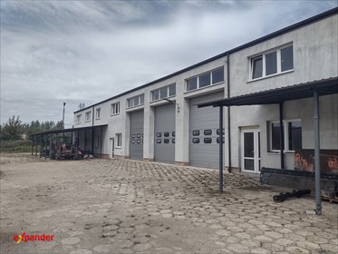 lokal użytkowy na wynajem 2000m2 lokal użytkowy Chmielów