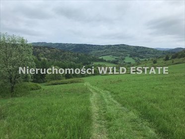 działka na sprzedaż 216777m2 działka Baligród, Baligród