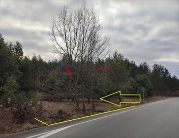 Działka 3400 m² z mediami, las, nowe domy - polecam! działka Julianów