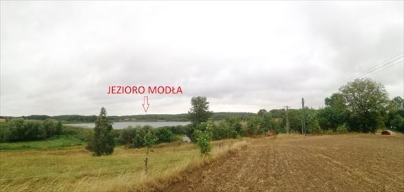 Działka rolna na sprzedaż Jeleń 5 141m2 Foto 1