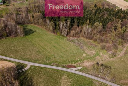 Działka inna na sprzedaż Meszna Opacka 9 075m2 Foto 6