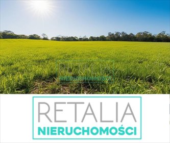 działka na sprzedaż 7000m2 działka Majdan